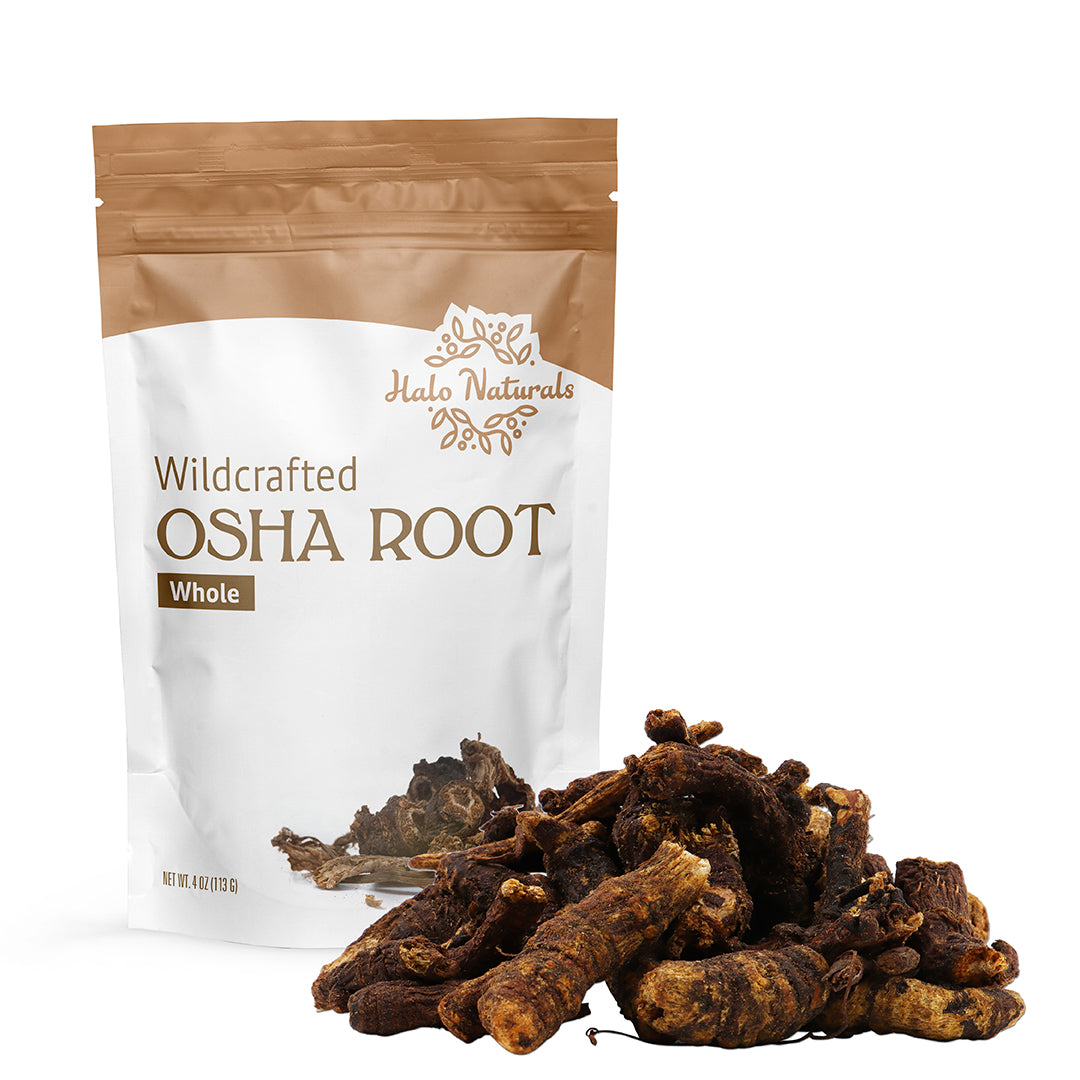 Osha Root Whole Wildcrafted