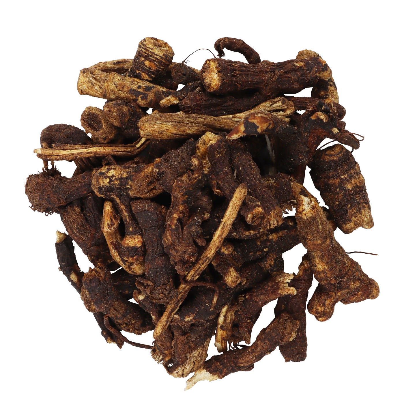 Osha Root Whole Wildcrafted
